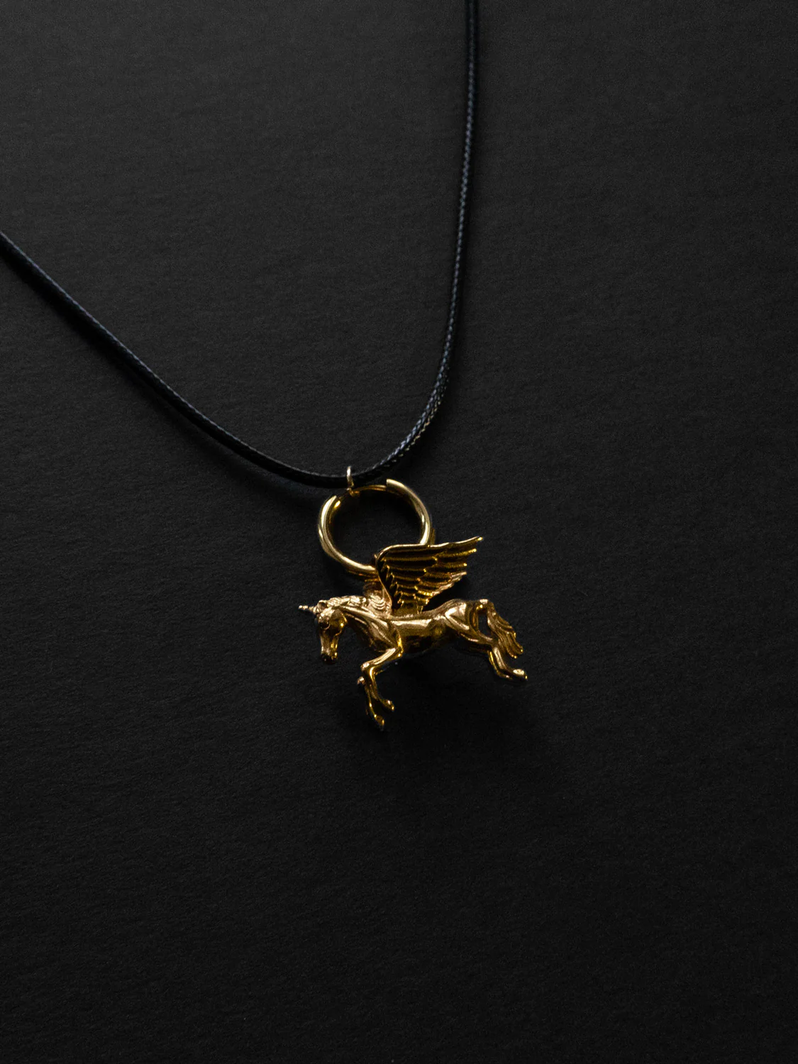 Cord Necklace - Pegasus - Image 4