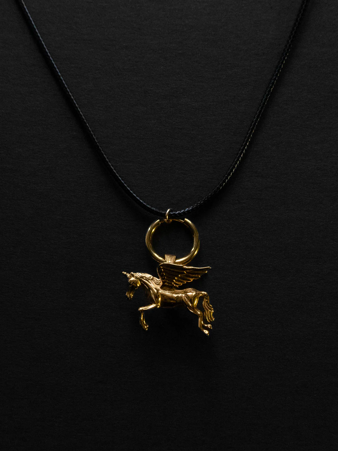 Cord Necklace - Pegasus - Image 5