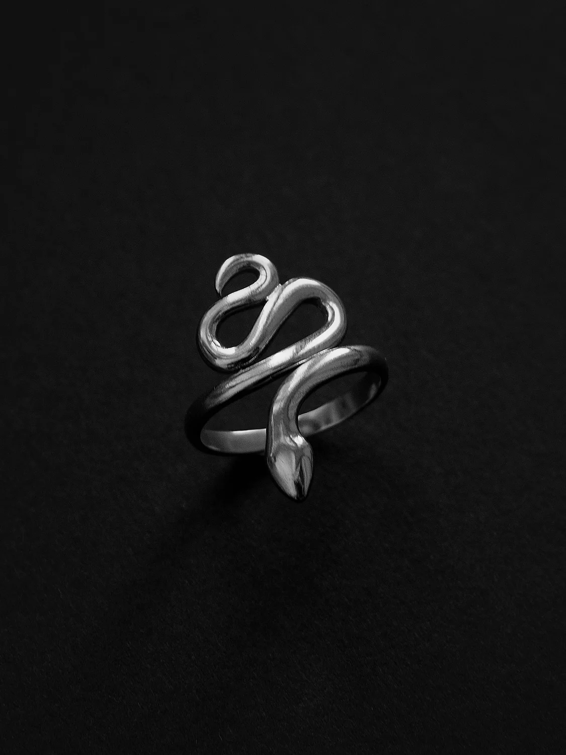 Serpent Ring - Silver - Image 2